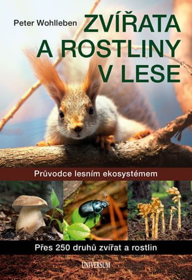Wohlleben Peter: Zvířata a rostliny v lese - obrázek 1