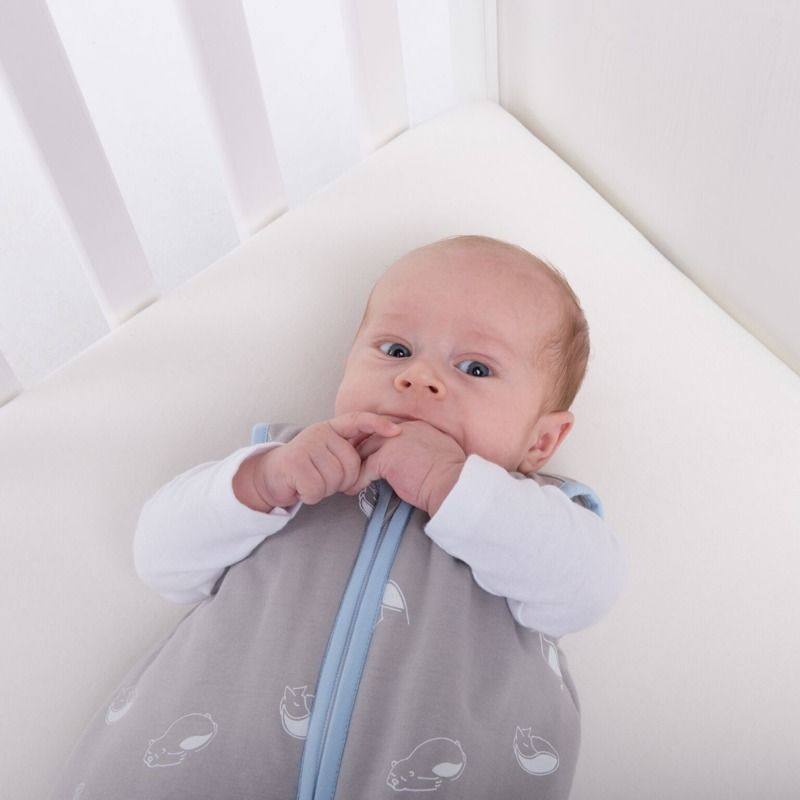 Natulino dětský zimní spací pytel pro miminko, ANIMALS GREY / BLUE, 3vrstvý, S (0 - 6 měsíců) - obrázek 5