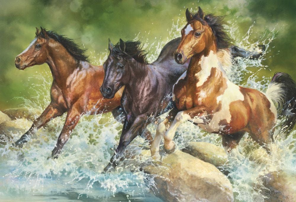 Trefl Three Wild Horses - obrázek 1