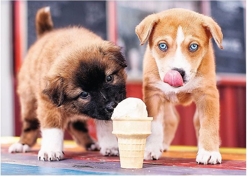 Trefl Puzzle 500 dílků Ice cream time! - obrázek 1