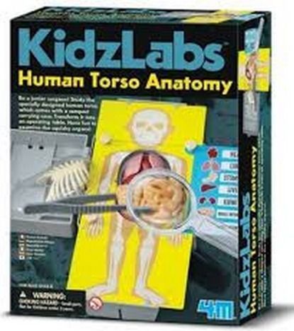 Mac Toys Anatomie - obrázek 1