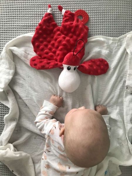 Hencz Toys Plyšová hračka v kontrastních barvách Sheepi - červená - obrázek 3