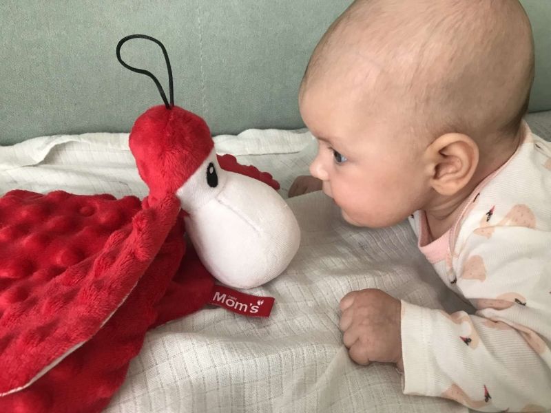 Hencz Toys Plyšová hračka v kontrastních barvách Sheepi - červená - obrázek 5