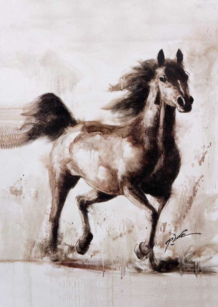 KS Games Puzzle 1000 dílků Robert Bonomo - Le Cheval - obrázek 1