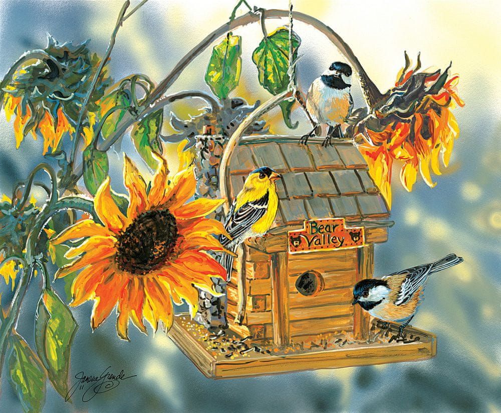 SunsOut Puzzle 1000 dílků Janene Grende - Bear Valley Birds - obrázek 1