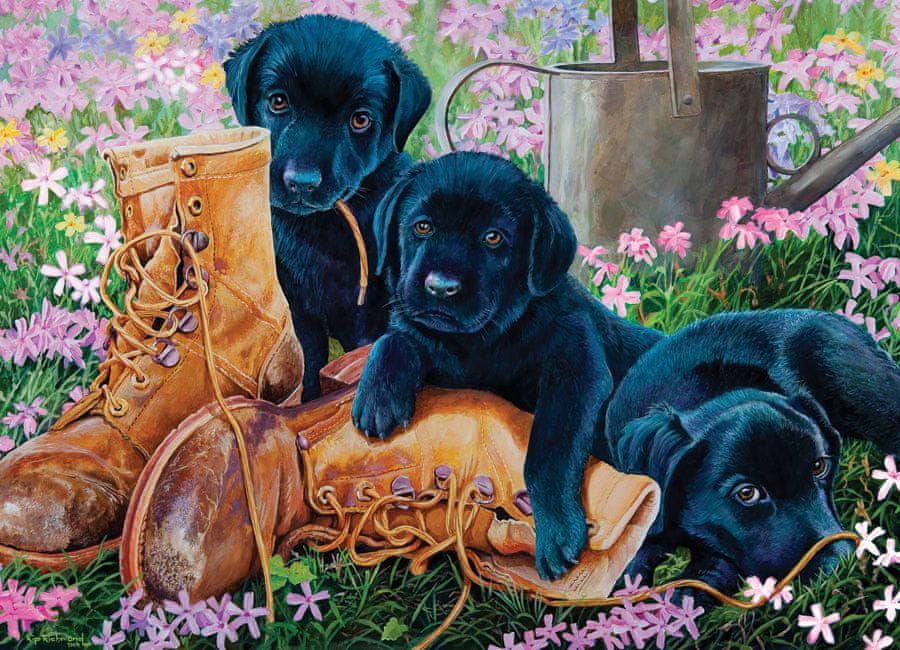 Cobble Hill Black Lab Puppies - obrázek 1