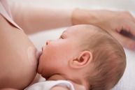 AVENT Chránič prs.bradavek-redukce Small-malý 2ks - obrázek 2