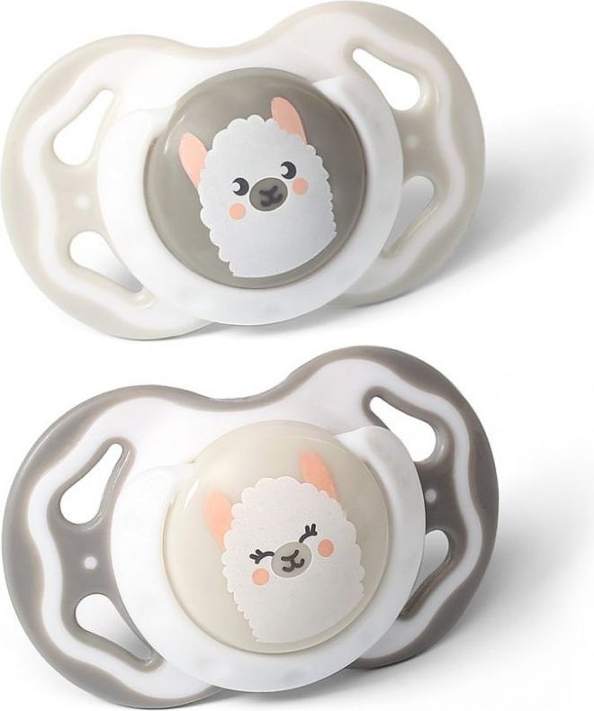 Symetrické silikonové šidítko Babyono Blue Bear 6-18 měsíců - obrázek 1