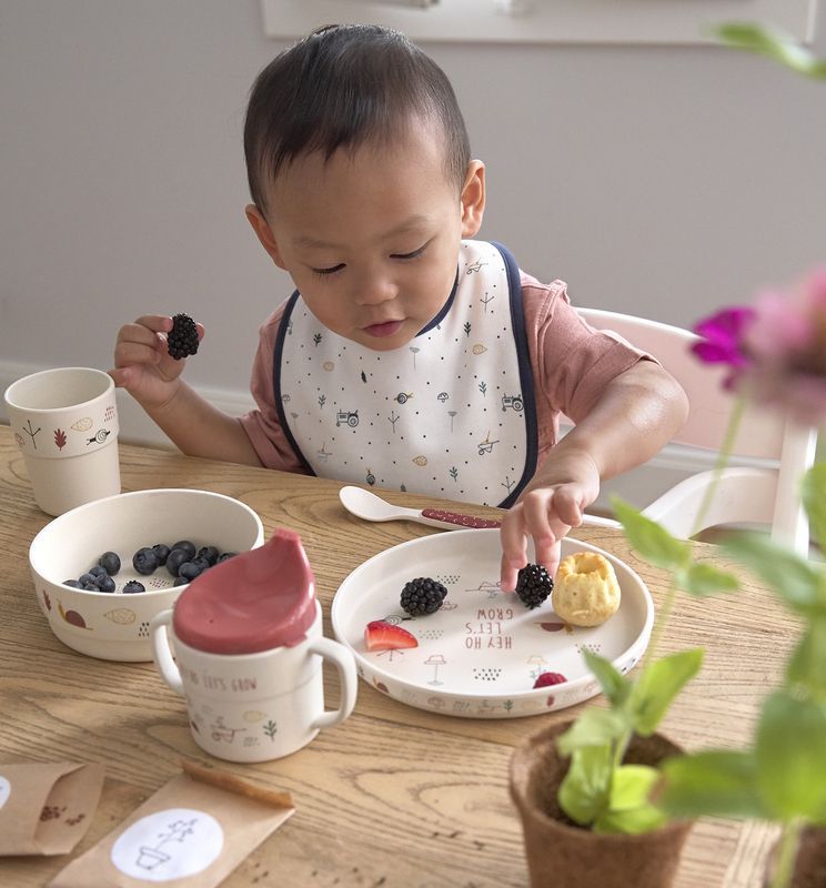 Lässig Dětský bambusový jídelní set Garden Explorer girl - obrázek 2