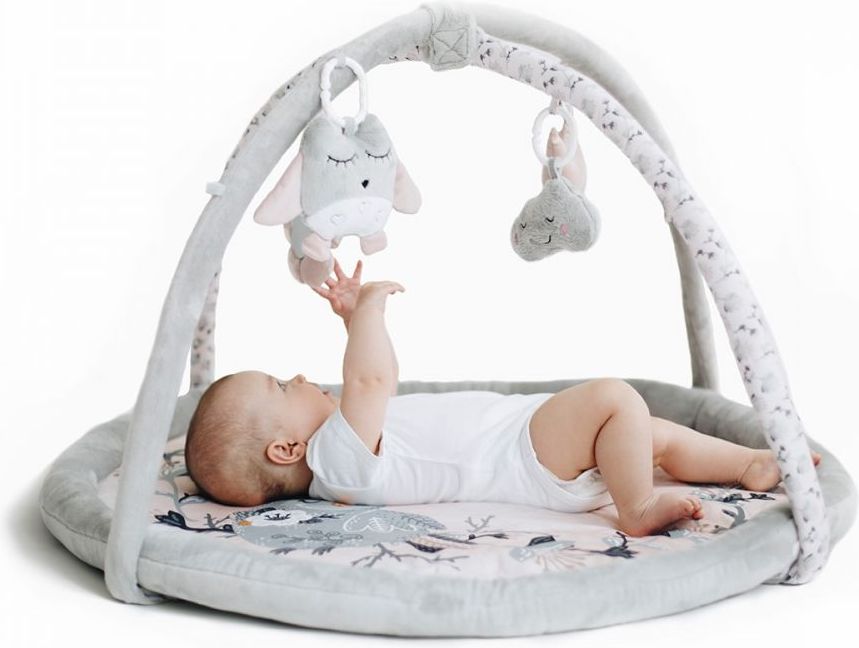 Vzdělávací hrací deka BabySteps Birds - obrázek 1