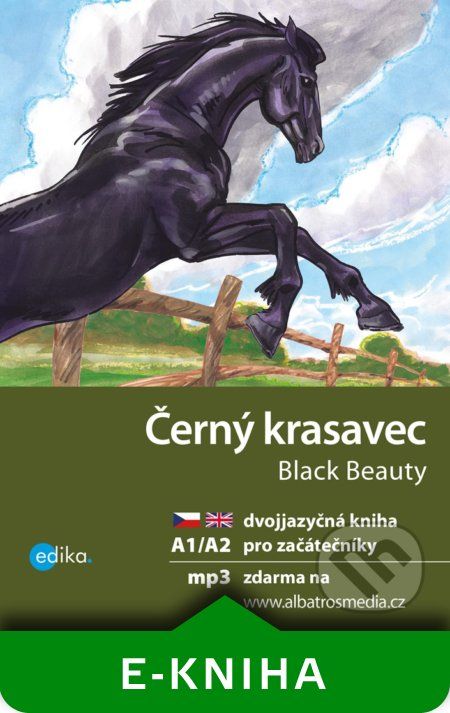 Černý krasavec A1/A2 - Dana Olšovská - obrázek 1