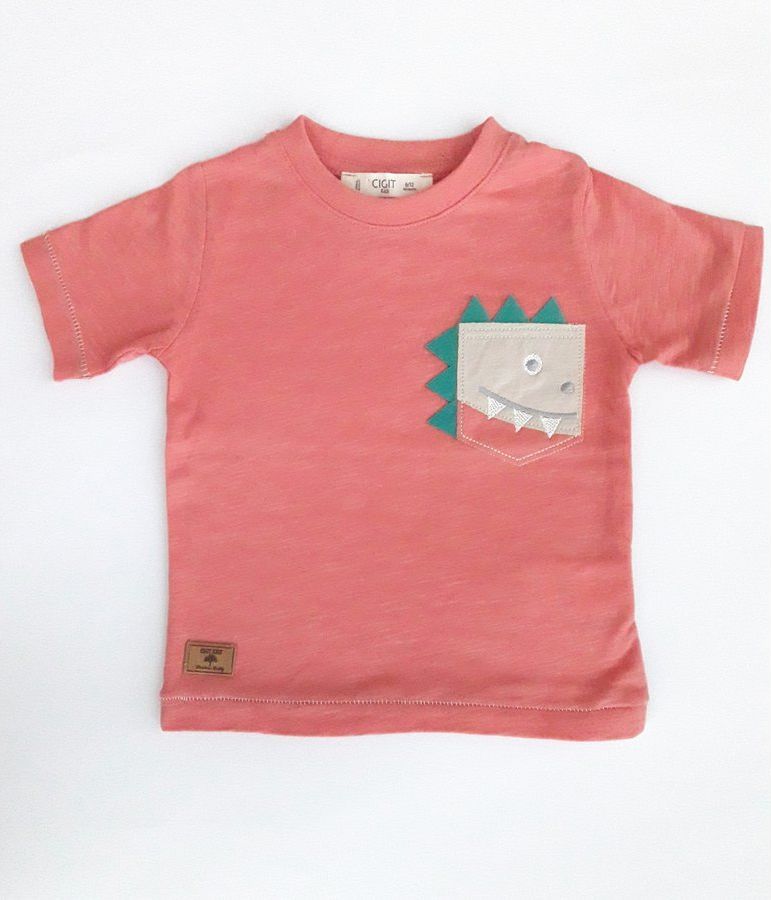 Chlapecké tričko s krátkým rukávem 61305 Cigit Kids Velikost: 80 (6-12m) - obrázek 1