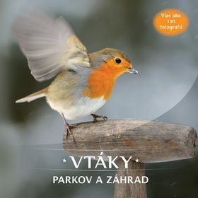 Vtáky v parkoch a záhradách - obrázek 1