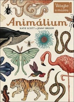 Katie Scott: Animálium - Preskúmajte ríšu zvierat v celej jej nádhere! - obrázek 1