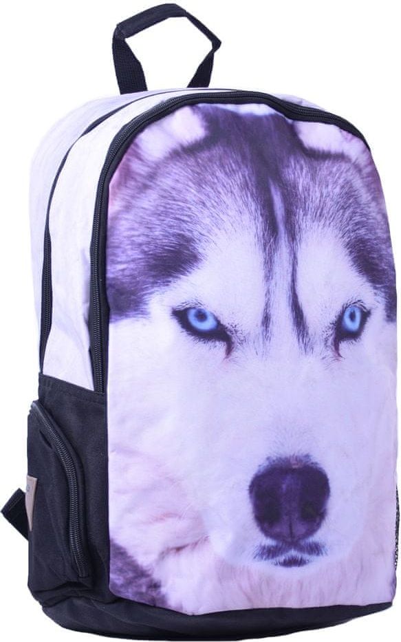 Lannoo Graphics Husky wood - obrázek 1