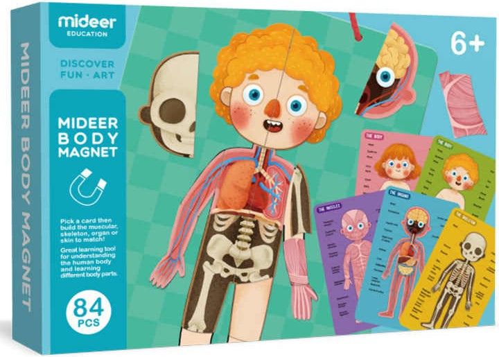 MIDEER Magnetická tabulka Moje tělo - obrázek 1