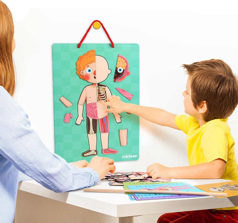 MIDEER Magnetická tabulka Moje tělo - obrázek 5