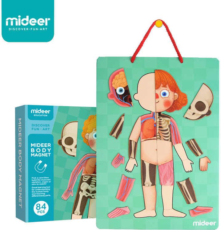 MIDEER Magnetická tabulka Moje tělo - obrázek 6