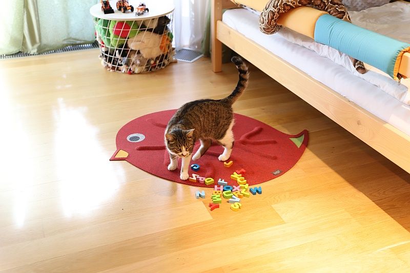 Kořenový koberec RootyRUG KIDS – Birdie Red - obrázek 5