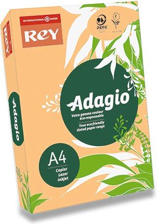 Rey Barevný papír Adagio lososový A4, 80 g, 500 listů - obrázek 1