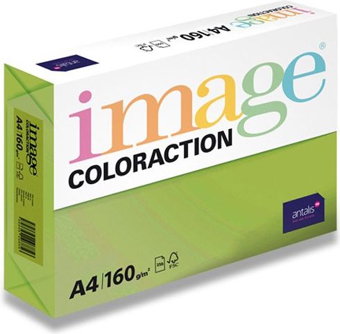 Image Barevný papír Coloraction Středně zelená A4, 160 g, 250 listů - obrázek 1