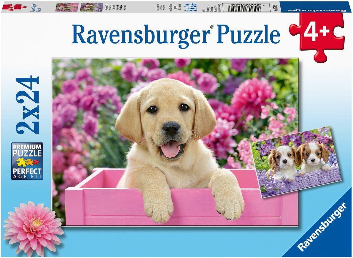 Ravensburger puzzle 050291 Kouzelná štěňata 2x24 dílků - obrázek 1