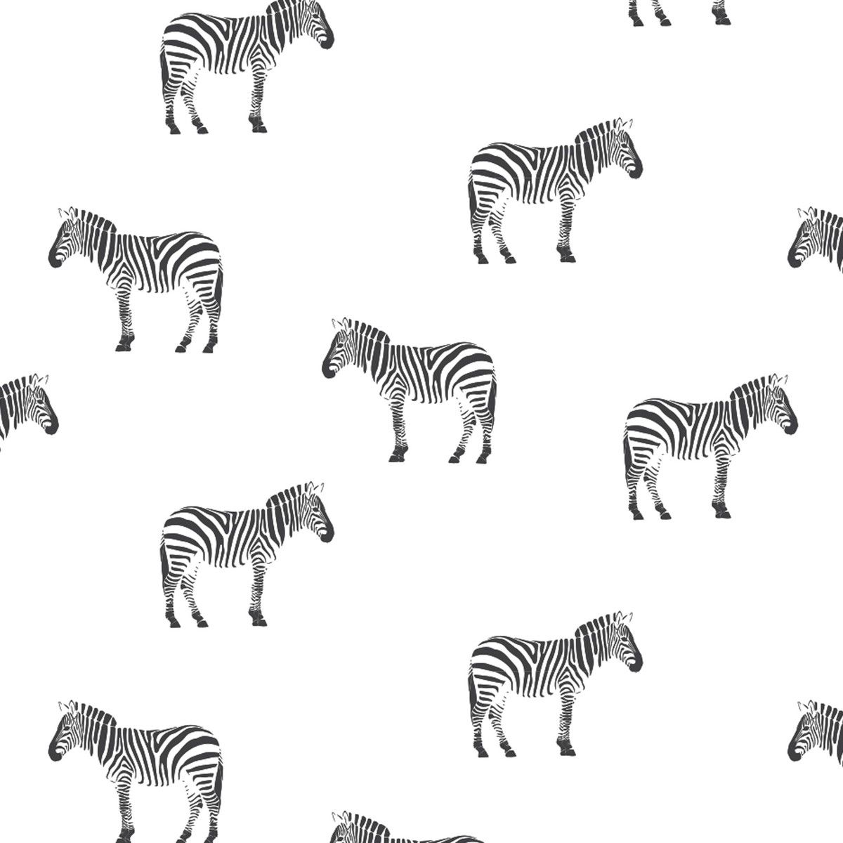 SwaddleMe-Deluxe zavinovačka Zebra - obrázek 2