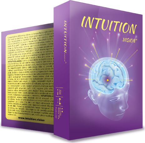 INTUITION.vision společenská hra Intuice - obrázek 1