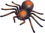 RC Pavouk - obrázek 1