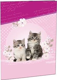 STIL Desky na abecedu Kitten - obrázek 1