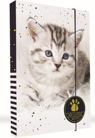Karton P+P Box na sešity A4 kočka - obrázek 1