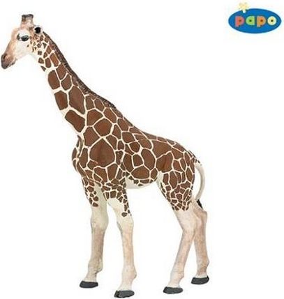 PAPO Žirafa 19 cm - obrázek 1
