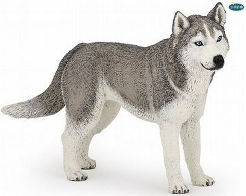 Papo Husky sibiřský - obrázek 1