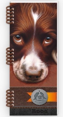 Spirálový sešit 80 x 200 x 7 mm linka 60 listů DOG - obrázek 1