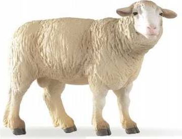 PAPO Ovce Merinos - obrázek 1