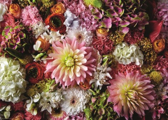 HEYE Puzzle Květiny: Jiřiny 1000 dílků - obrázek 1