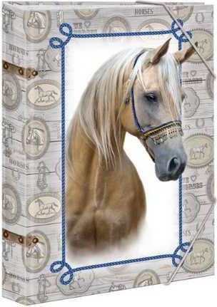 Školní desky A4 Horses - obrázek 1