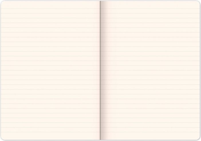 Notes Ananasy linkovaný, 13 × 21 cm - obrázek 3
