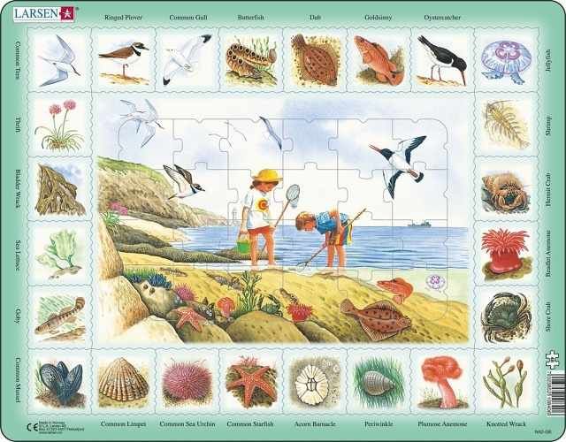 Puzzle Život u moře 48 dílků - obrázek 2
