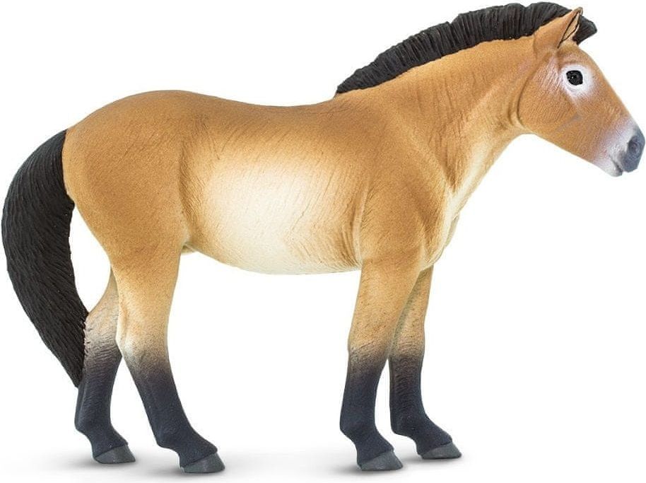 Safari Ltd. Kůň převalského - obrázek 1