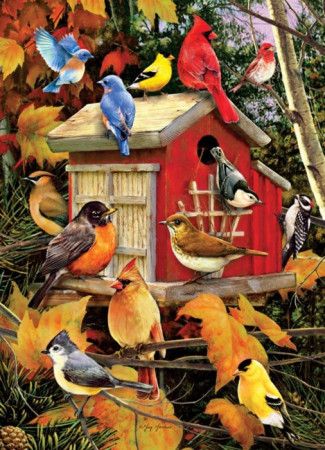 Cobble Hill Puzzle Ptačí budka na podzim 1000 dílků - obrázek 1