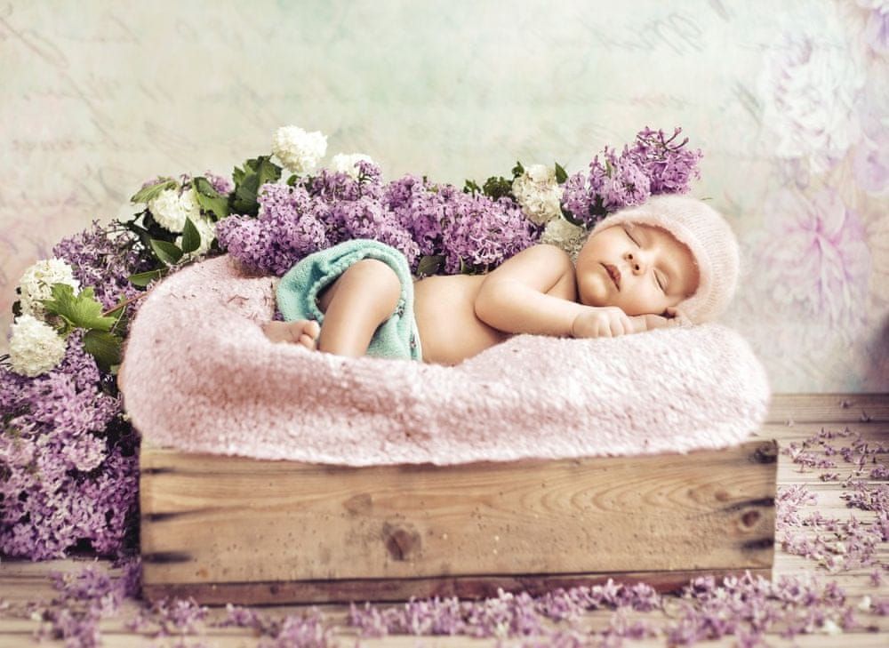 Grafika Puzzle 300 dílků Konrad Bak: Baby sleeping in the Lilac - obrázek 1