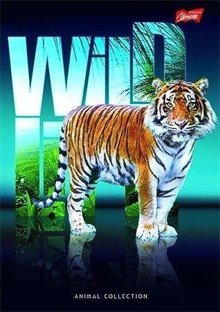 Blok na psaní "Wild life", linkovaný, drátěná kroužková vazba, A4, 96 listů, UNIPAP - obrázek 4