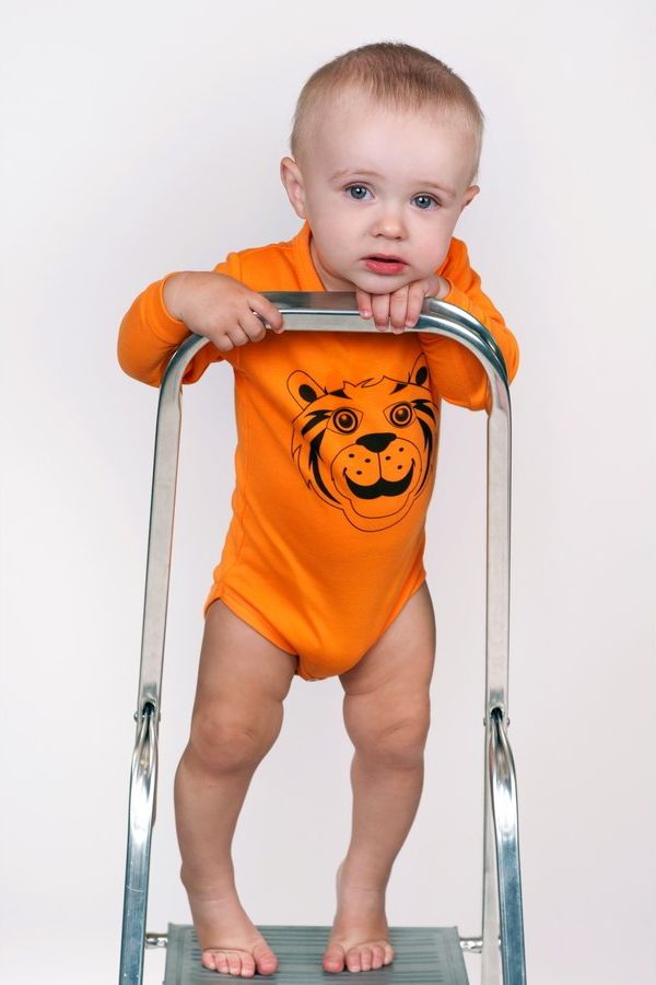 Kojenecké body s dlouhým rukávem New Baby Zvířátko Beruška růžové&nbsp;-&nbsp;62 (3-6m) - obrázek 252