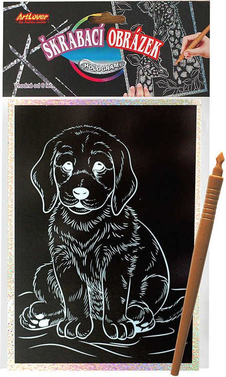 Obrázek škrabací 25x14cm hologramový set s nástrojem 8 druhů - obrázek 2