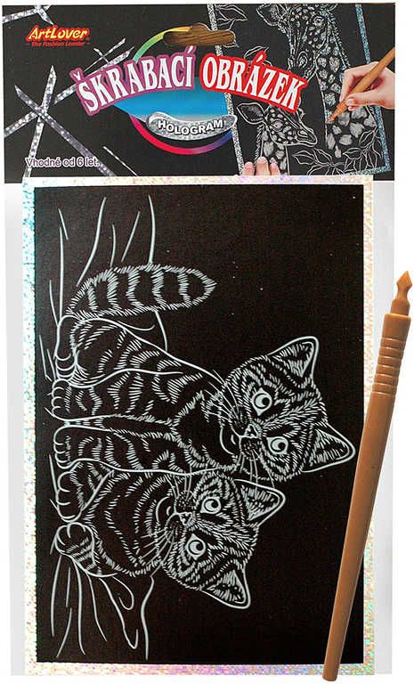 Obrázek škrabací 25x14cm hologramový set s nástrojem 8 druhů - obrázek 4