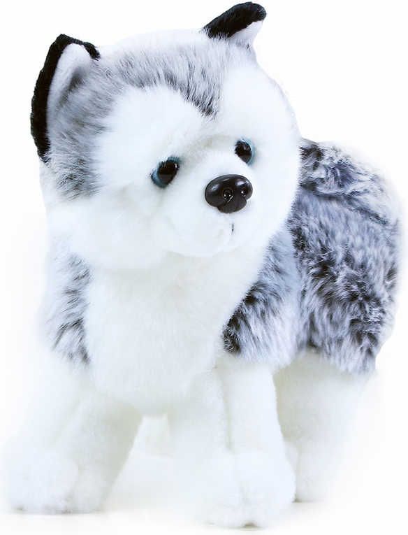 Plyšový pes husky 22cm - obrázek 1