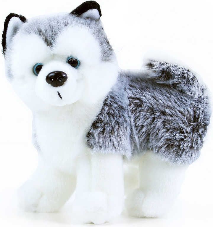 Plyšový pes husky 22cm - obrázek 2