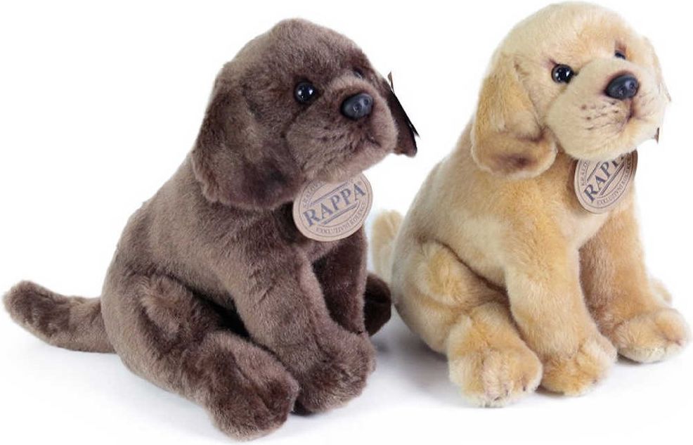 Plyšový pes labrador sedící 2 druhy 20 cm - obrázek 3