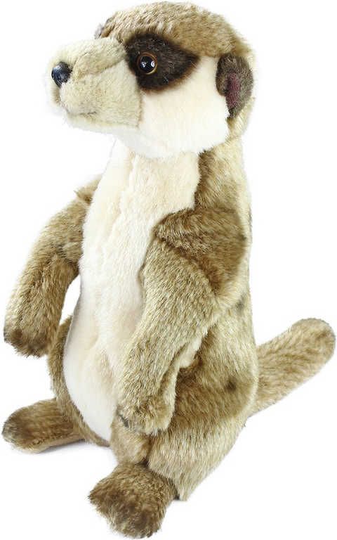 Rappa Plyšová surikata 24 cm - obrázek 1